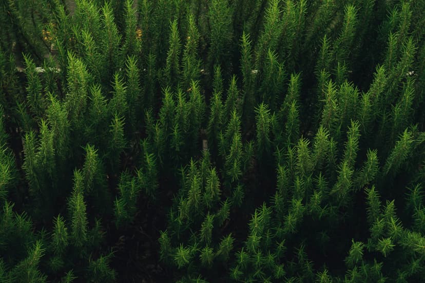 Performance Optimization with QuantaJS: A Complete Guide